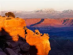 真人体育官网-犹他爵士内部会议纪要流出：窗口期调整名单，NBA季后赛使命明确，医务组通报恢复