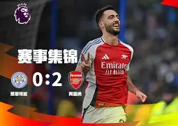 DB真人体育-佩佩转会阿森纳